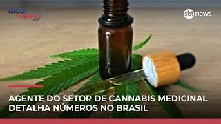 Mercado de cannabis medicinal cresce e bate recorde no Brasil