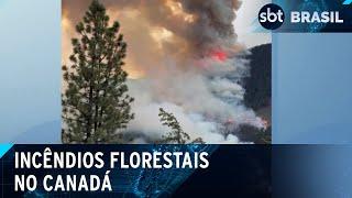 Cidade no Canadá é evacuada após incêndios florestais | SBT Brasil (13/05/24)