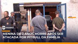 Criança de 2 anos morre após ser atacada por pitbull em Hortolândia (SP) | #SBTManhã
