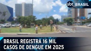 Detentos passam por capacitação para combater a dengue no interior de SP | SBT Brasil (14/01/25)