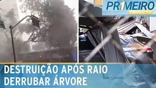 SP: Árvore cai e destrói estacionamento após ser atingida por raio | Primeiro Impacto (09/01/25)SP: Árvore cai e destrói estacionamento após ser atingida por raio | Primeiro Impacto (09/01/25)