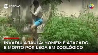 Homem morre ao invadir jaula de leoa em zoológico de João Pessoa (PB) | #SBTNotícias