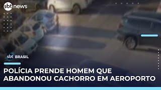 Homem é preso após abandonar cachorro no aeroporto de Florianópolis | #SBTBrasil 