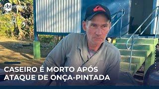 Caseiro morre após ataque de onça-pintada no Pantanal | #SBTNews (24/04/25)