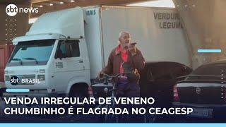 Exclusivo: homem é flagrado vendendo veneno proibido no Ceagesp (SP) | #SBTBrasil 