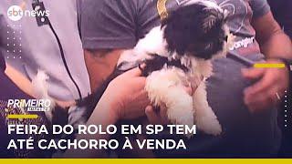 Feira do Rolo: comida vencida e até cachorro são vendidos | Primeiro Impacto (07/05/25)