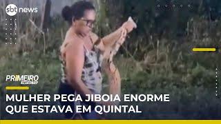 Mulher pega jiboia gigante com as próprias mãos no quintal de casa | Primeiro Impacto (28/05/25)