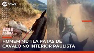 Polícia investiga denúncia de maus-tratos contra cavalo mutilado em Bananal (SP) | #AquiAgora