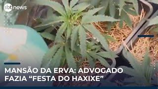 Advogado é preso por cultivar maconha em condomínio de luxo no DF | #SBTNews Manhã (09/05/25)