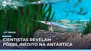 Pesquisadores descobrem nova espécie de peixe pré-histórico na Antártica | #SBTBrasil 