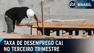 IBGE: desemprego caiu em 7 estados no terceiro trimestre | SBT Brasil (23/11/24)