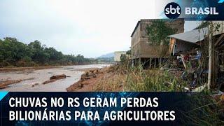 Chuvas no RS geram perdas bilionárias na agricultura, diz estudo | SBT Brasil (29/06/24)