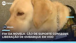 Cão de suporte de criança com autismo consegue embarcar para Portugal | SBT Brasil (30/05/25)