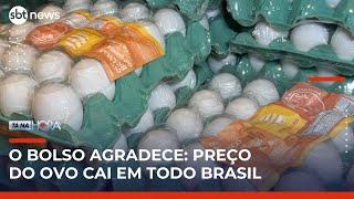 Preço do ovo começa a cair no Brasil após alta expressiva no ano | #TanaHora
