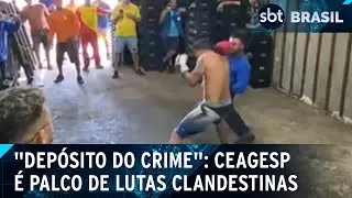 Luta livre no Ceagesp causa violência e prejudica trabalhadores locais | SBT Brasil (12/03/25)