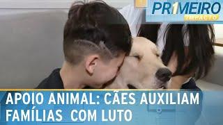 Cachorros terapêuticos ajudam famílias a lidarem com luto | Primeiro Impacto (20/12/24)