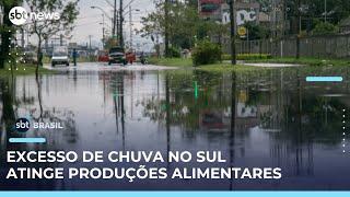 Chuvas no Rio Grande do Sul ameaçam quebra na produção agrícola | #SBTBrasil 