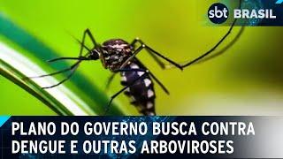 Governo lança plano de contingência para enfrentar casos de dengue  | SBT Brasil (09/01/25)