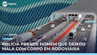Túnel Santos-Guarujá: empresa portuguesa Mota-Engil vence leilão de projeto submerso | #SBTBrasil 