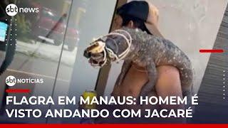 Homem é flagrado caminhando com jacaré no ombro em Manaus | #SBTNoticias