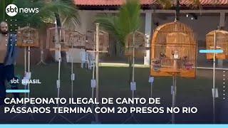 Polícia Civil prende 20 pessoas durante campeonato ilegal de canto de pássaros | #SBTBrasil 