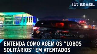 GSI tenta identificar se explosão em Brasília foi ação de “lobo solitário” | SBT Brasil (14/11/24)