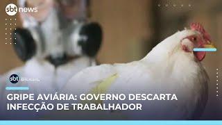 Governo descarta gripe aviária em trabalhador rural no Rio Grande do Sul | SBT Brasil (20/05/25)