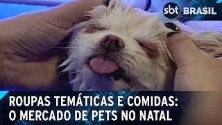 Pets entram no clima natalino e impulsionam mercado no Brasil | SBT Brasil (21/12/24)