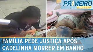 Cachorrinha de 15 anos morre após ser agredida em pet shop de Curitiba | Primeiro Impacto (02/01/25)