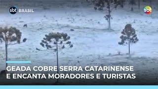 Geada cobre vegetação da Serra Catarinense e encanta moradores e turistas