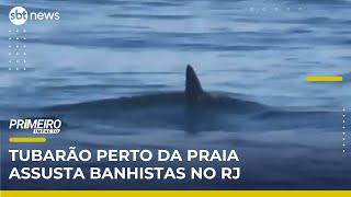 RJ: Tubarão se aproxima de praia na Barra da Tijuca e assusta banhistas |Primeiro Impacto (20/05/26)