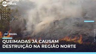Verão amazônico intensifica queimadas e deixa estados da região Norte em alerta | #SBTBrasil