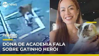 Dona de academia fala sobre “gato herói” que salvou outra gata | Primeiro Impacto (14/05/25)