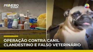 Canil clandestino: polícia apura se falso veterinário está à frente de quadrilha | #PrimeiroImpacto
