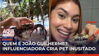Caranguejo João Guilherme: influenciadora viraliza ao criar pet inusitado como 'filho' | #AquiAgora