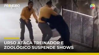 Fim de shows com ursos: animal ataca tratador em zoológico na China | #PrimeiroImpacto