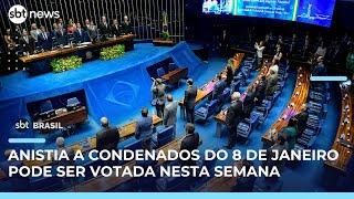 Articulador da anistia, Tarcísio pede ao STF para visitar ex-presidente Jair Bolsonaro | #SBTBrasil 