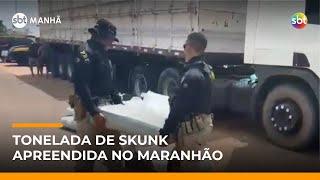 PRF apreende quase 1 tonelada de “supermaconha” em caminhão no Maranhão | #SBTManhã
