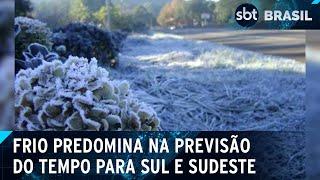 Mapa tempo: Sul tem previsão de geada para o domingo (11) | SBT Brasil (10/08/24)