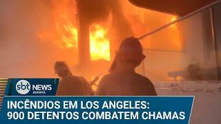 A 1 dólar por dia, detentos ajudam no combate a incêndios em Los Angeles | #SBTNews Manhã (13/01/25)