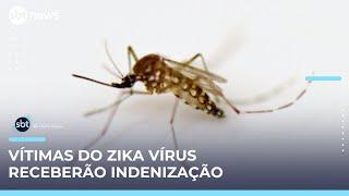 Derrubada de veto de Lula garante pensão para vítimas do zika vírus | #SBTBrasil