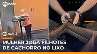 Mulher é presa por jogar filhotes de cachorro no lixo no Paraná | #SBTManhã
