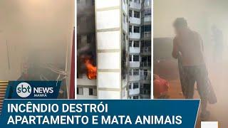 Cachorro e seis calopsitas morrem após incêndio em apartamento | #SBTNews (12/12/24)