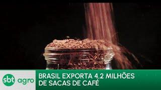 Exportações de café do Brasil batem recorde em abril
