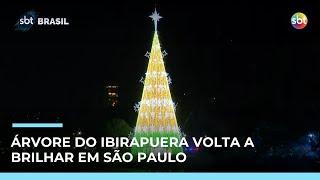 Árvore de Natal do Ibirapuera é iluminada e abre programação especial em SP | #SBTBrasil