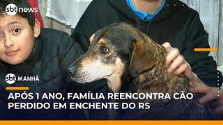 Família reencontra cachorro perdido em abrigo após enchente do Rio Grande do Sul | #SBTManhã