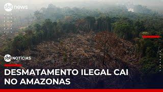 Taxa de desmatamento no Amazonas cai mais de 50% em junho | #SBTNotícias