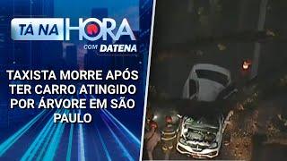 Taxista morre após ter carro atingido por árvore em São Paulo | Tá na Hora (12/03/25)