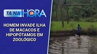 Homem invade ilha de macacos e hipopótamos em zoológico no Paraná | Tá na Hora (22/11/24)