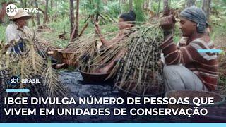 Censo: 11,8 milhões de pessoas vivem em unidades de conservação no Brasil, diz IBGE | #SBTBrasil 